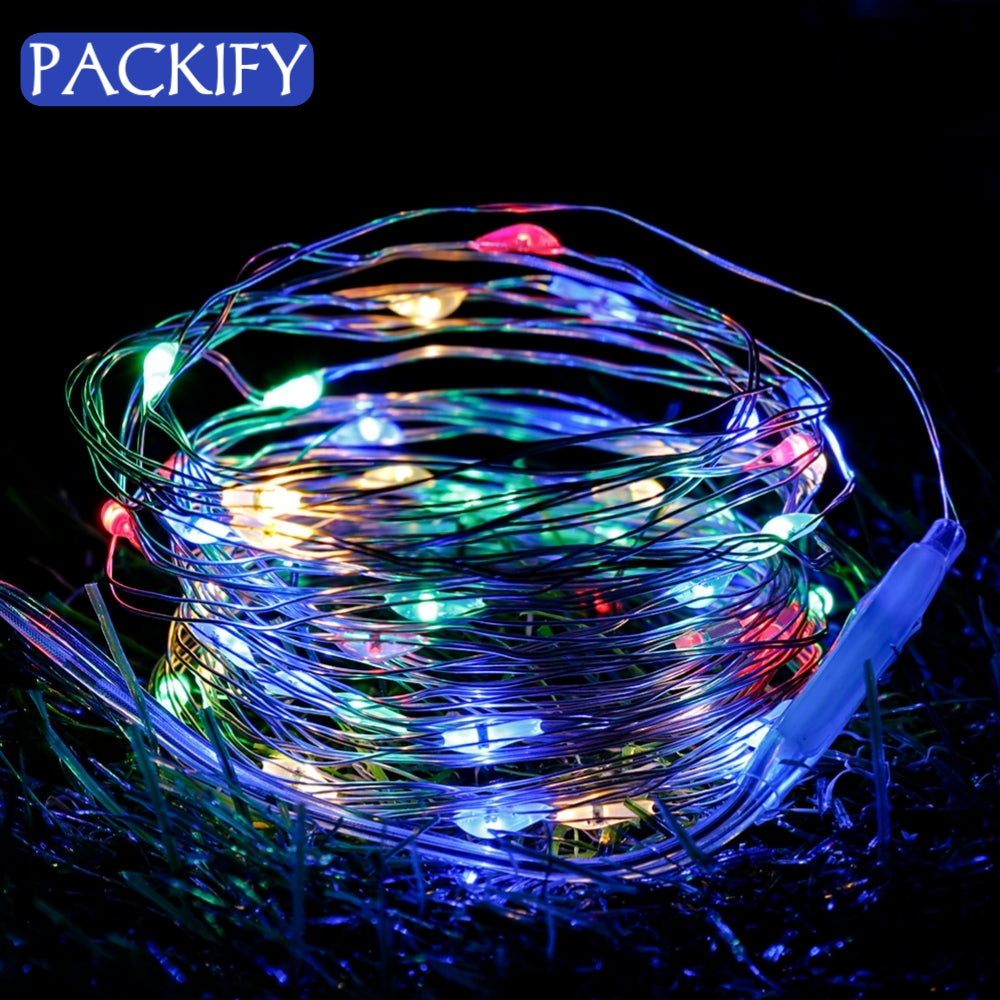 9.8ft 30LEDs Mini Fairy Lights